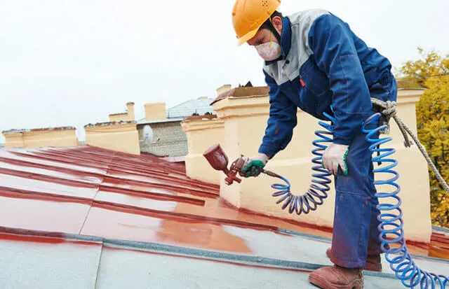 Важность покраски железной крыши