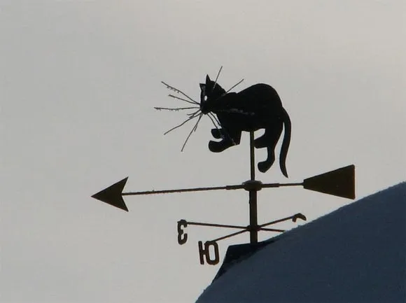 Флюгер - символ, который живет на крыше